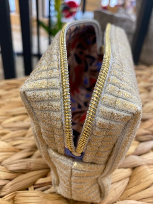 Trousse petit format - velours doré irisé