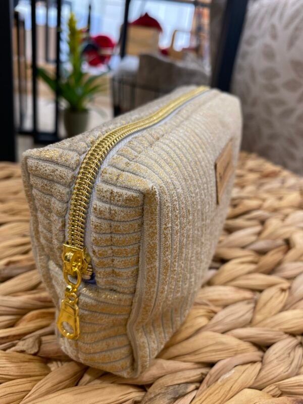 Trousse petit format - velours doré irisé